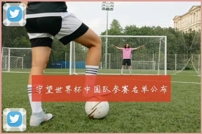 守望世界杯中国队参赛名单公布