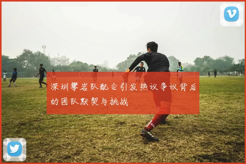 深圳攀岩队配合引发热议争议背后的团队默契与挑战