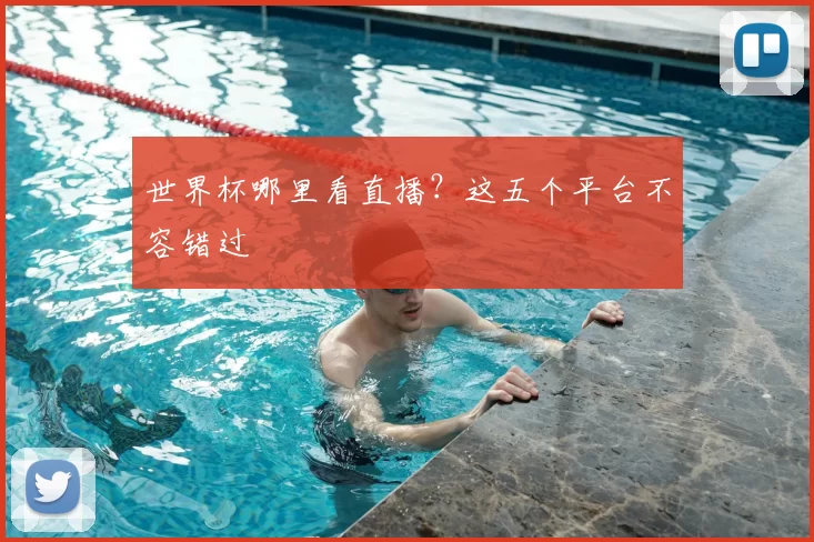 世界杯哪里看直播?这五个平台不容错过