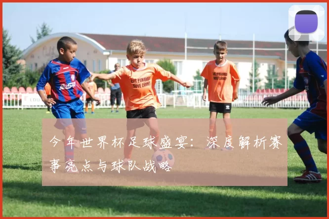 今年世界杯足球盛宴:深度解析赛事亮点与球队战略