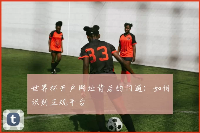 世界杯开户网址背后的门道:如何识别正规平台