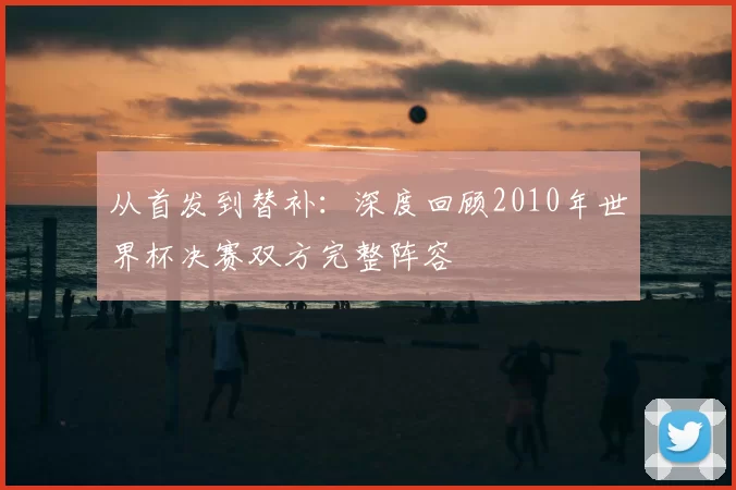 从首发到替补:深度回顾2010年世界杯决赛双方完整阵容