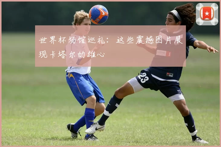 世界杯场馆巡礼：这些震撼图片展现卡塔尔的雄心