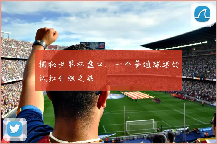 揭秘世界杯盘口：一个普通球迷的认知升级之旅