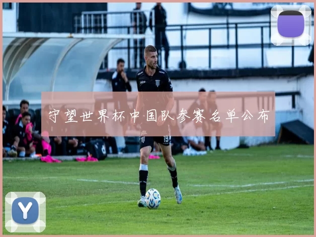 守望世界杯中国队参赛名单公布