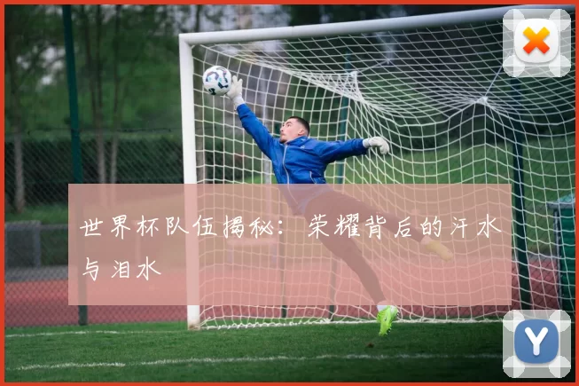 世界杯队伍揭秘:荣耀背后的汗水与泪水