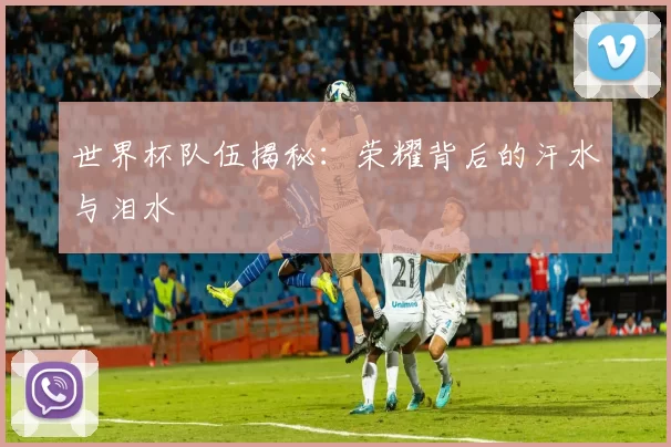 世界杯队伍揭秘:荣耀背后的汗水与泪水