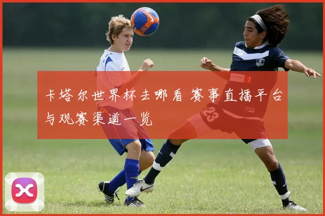 卡塔尔世界杯去哪看 赛事直播平台与观赛渠道一览