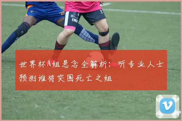世界杯A组悬念全解析:听专业人士预测谁将突围死亡之组