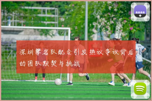 深圳攀岩队配合引发热议争议背后的团队默契与挑战