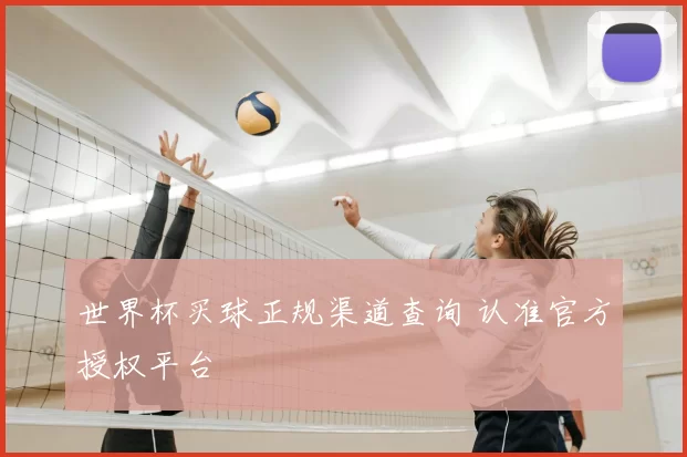 世界杯买球正规渠道查询 认准官方授权平台