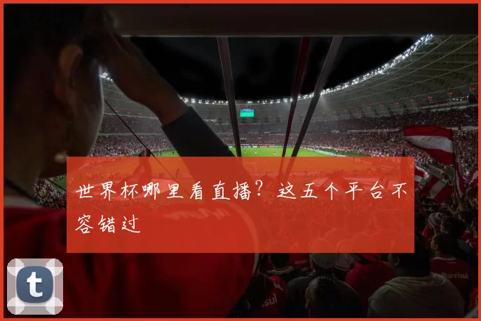 世界杯哪里看直播?这五个平台不容错过