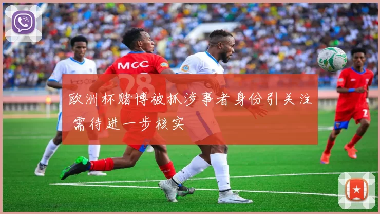欧洲杯赌博被抓涉事者身份引关注 需待进一步核实