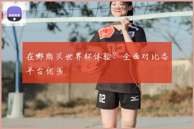 在哪购买世界杯体验？全面对比各平台优劣