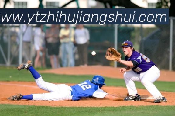 开云平台生态图